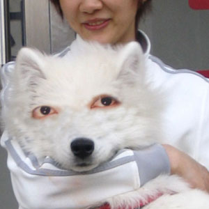 shoken.jpg(15226 byte)